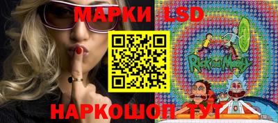 индика Гагарин