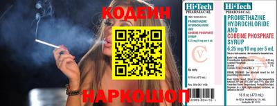 индика Гагарин