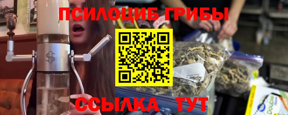 Саянск  Псилоцибиновые грибы Psilocybe  Вход с VPN 